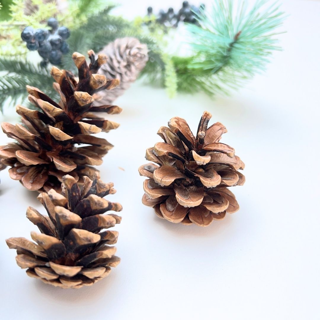 Three pine cones on a white surface with blurred greenery in the background